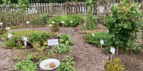 Henson Hall Garden